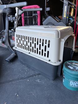 Large Plastic Dog Travel Crate / Kennel