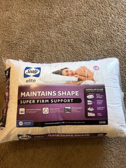 Sealy Elite Super Firm Support Pillow Standard/Queen