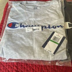 Champion and Tommy Flag Hoody