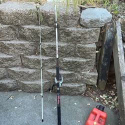 Ugly Stik Fishing Pole