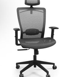 New Ergonomic Office Chair