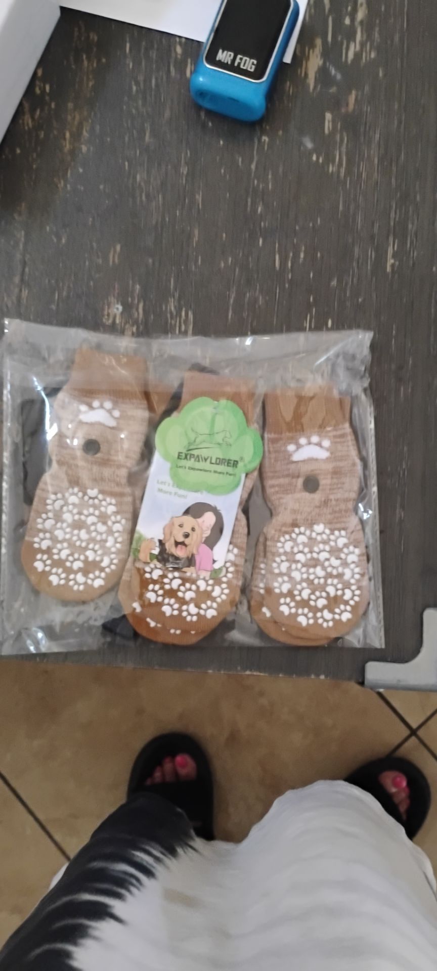 Dog socks.