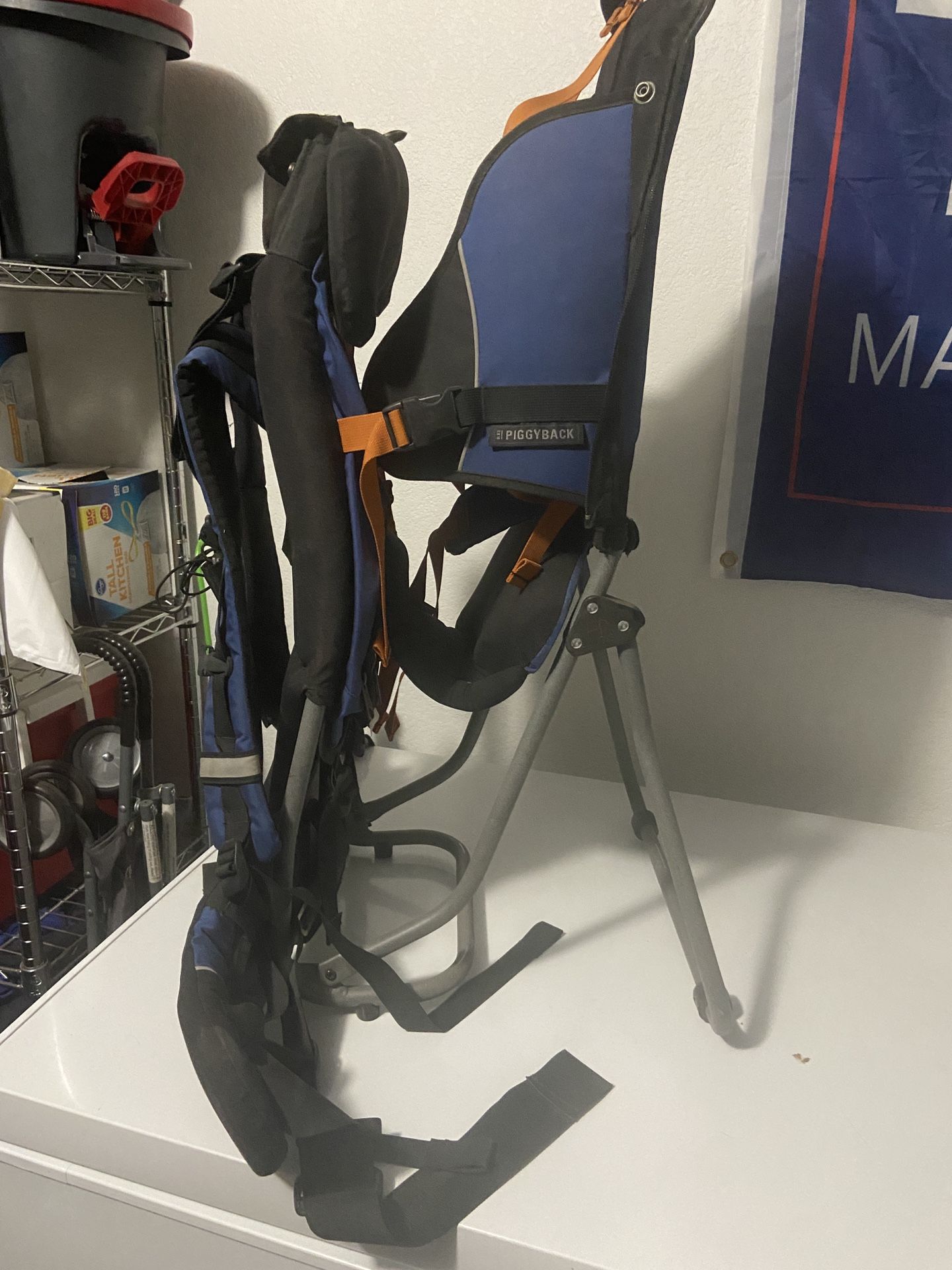 REI Piggyback Toddler Backpack Carrier