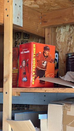 Ducks bobble head
