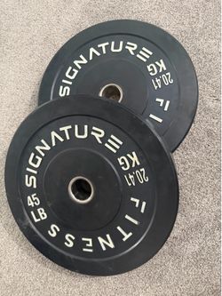 Two 45lb Rubber Olympic Weights - 20.41 KG