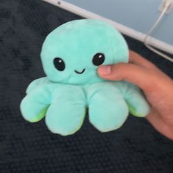 Cute Inside-out Plushie