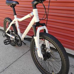 Bike New For Kids 20-in Wheels Fully Assembled Working Perfectly