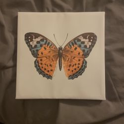 ButterFly Room Decor
