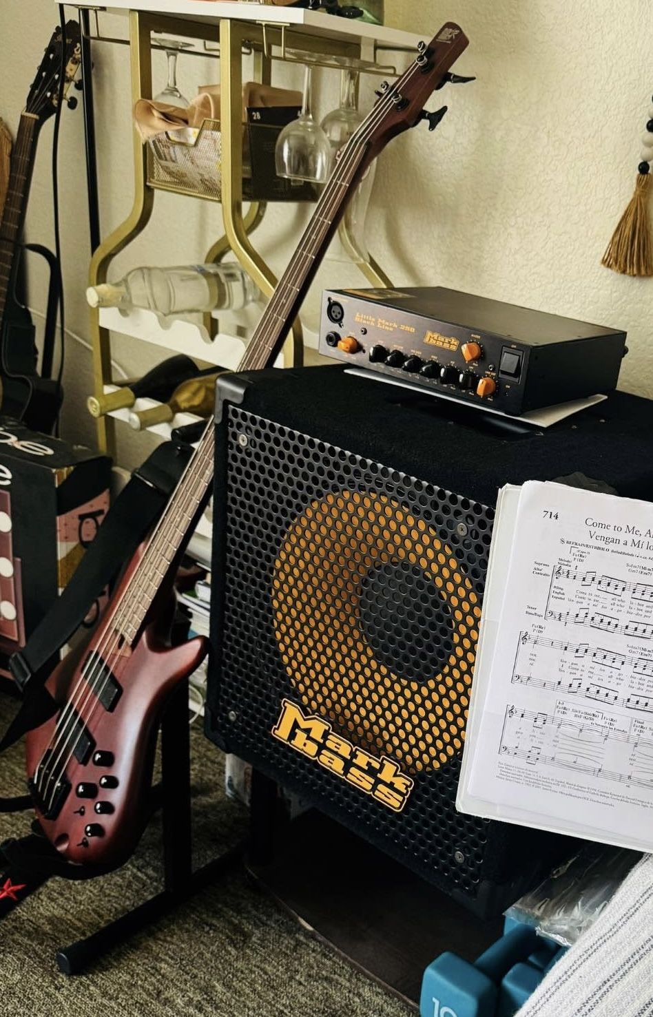 Bocina De Bajo Y Amplificador Y Bajo Guitarra
