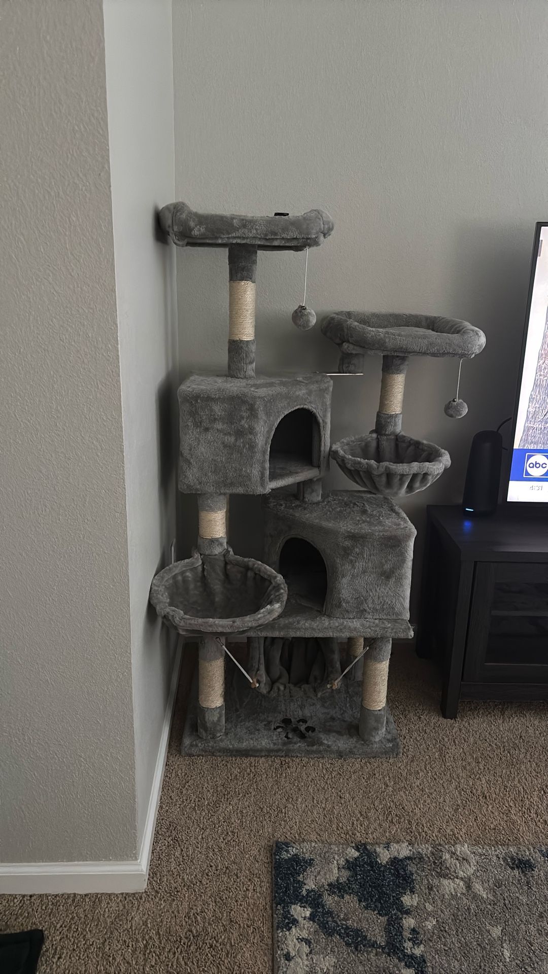 Cat Stand 