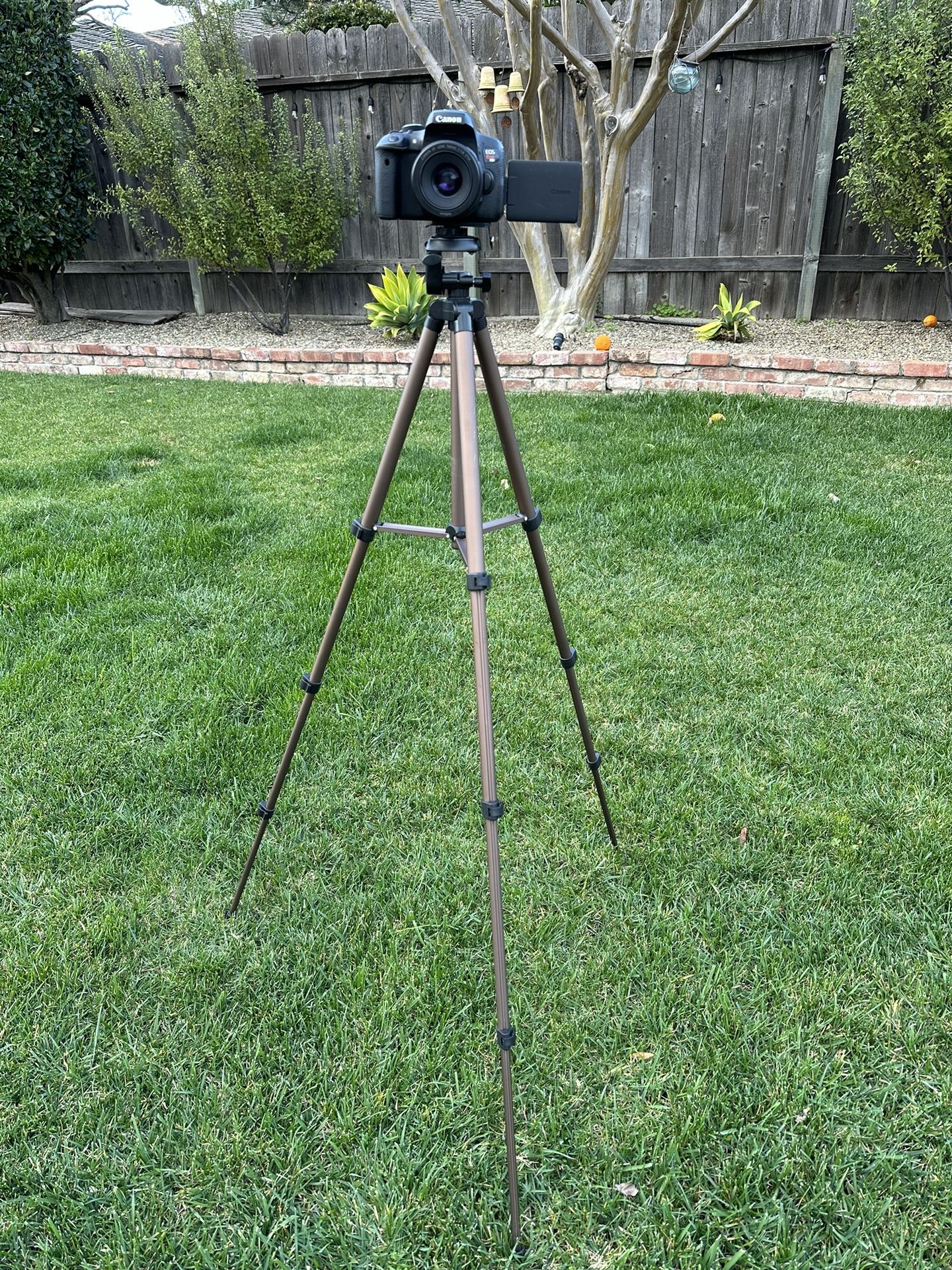 (Moving Out Sale) 50 inch DSLR Tripod