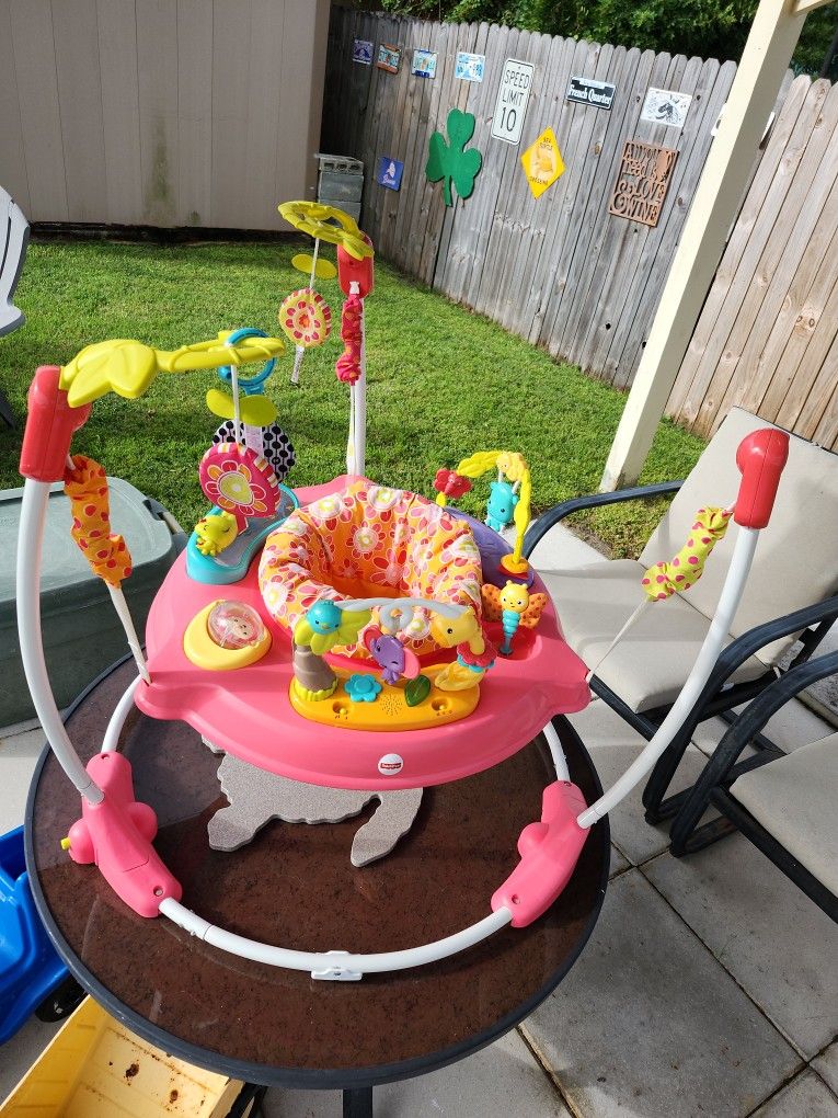 Fisher Price Baby Bouncer