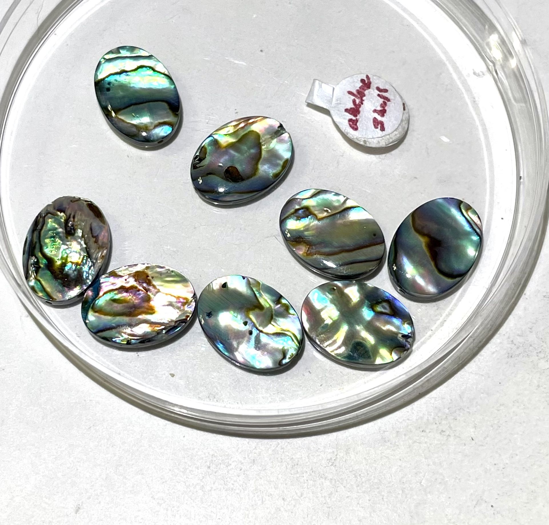 Genuine Abalone/Paua Beads