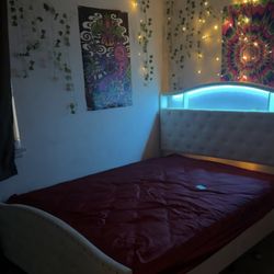 Brand New Queen Sized Bed Farm From Wayfair