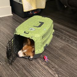 Puppy Size Crate
