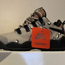 Supreme Nike SB Darwin 