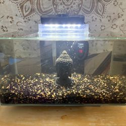 6 Gallon Fluval Aquarium