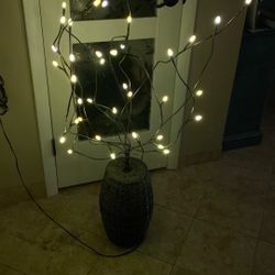 Interesting Decorative Lighted Tree $12