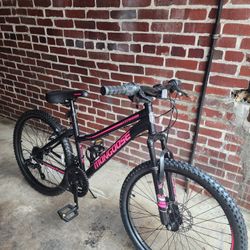 Bicycle