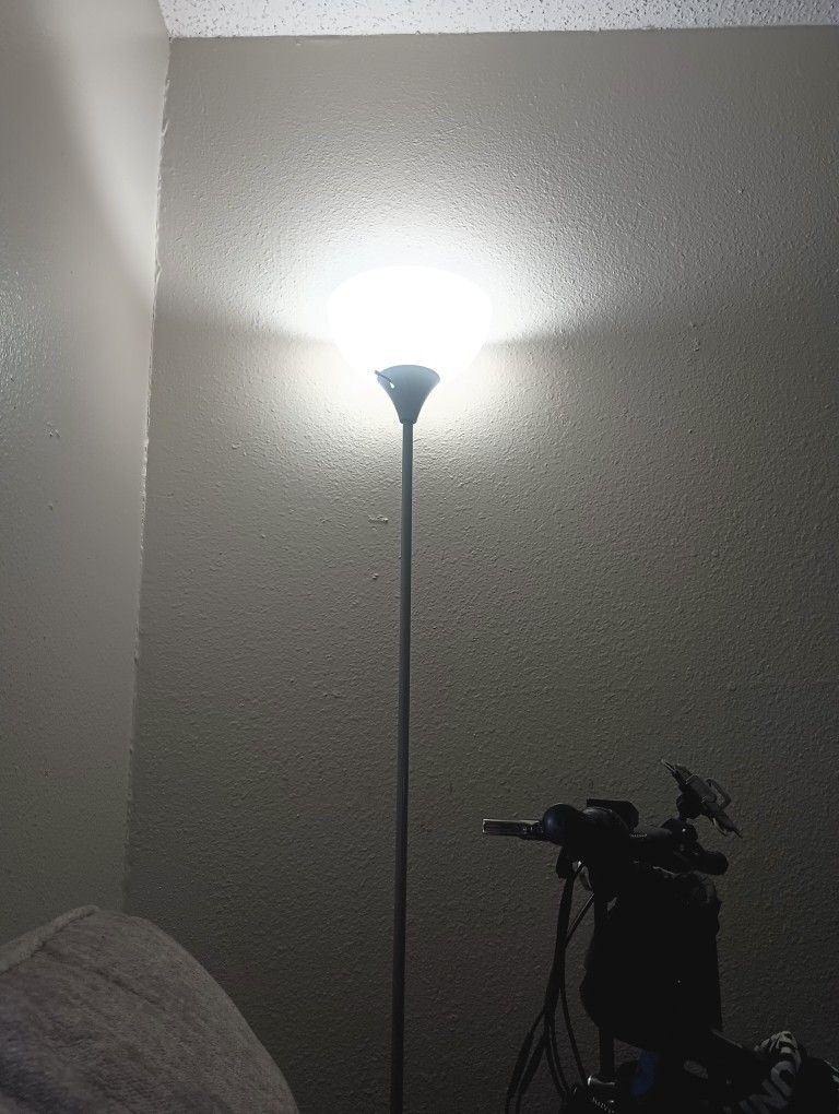 6 Ft Lamp