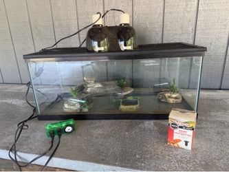 Lizard aquarium with accessories