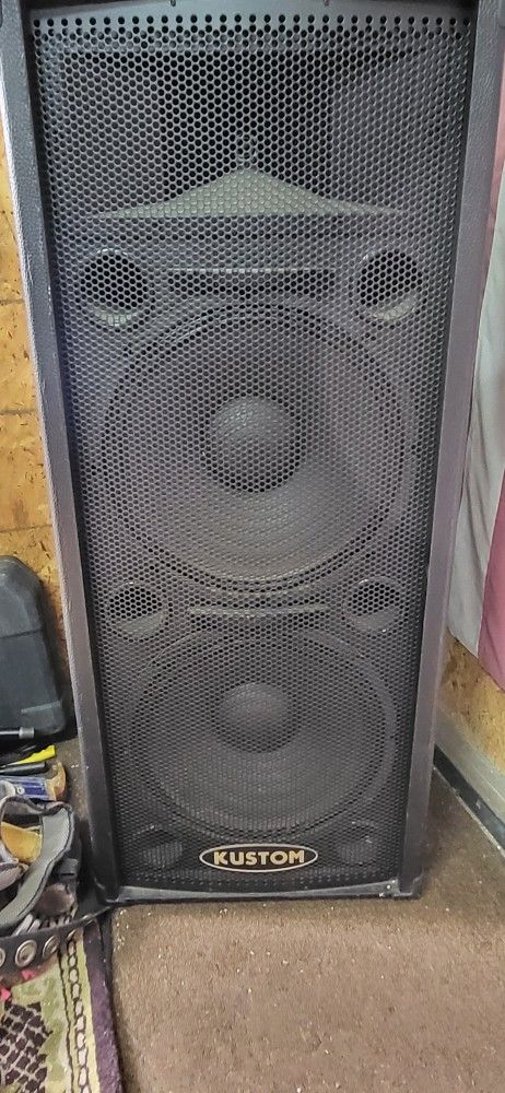 Custom P.A. Speakers