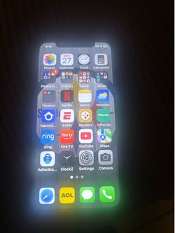 iPhone X