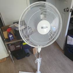 Nice Fan