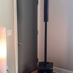 Electro Voice 30M column speaker 