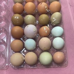 Fresh Free Range Chicken Eggs $7.50 A Dozen