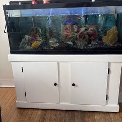 75 Gallon Fish Tank 