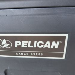 Pelican BX255 Cargo Case