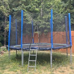 Trampoline 