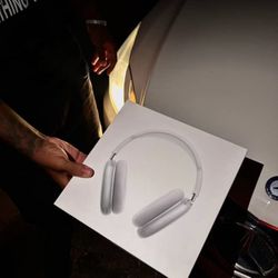 Apple Headphones 