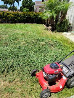 Gardener jardinero