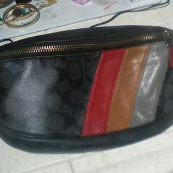 Coach Belt Bag