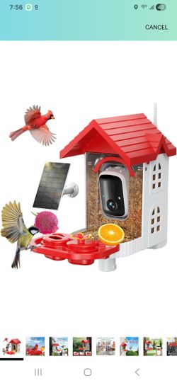 Smart Bird Feeder Camera with AI Identify BirdSpecies