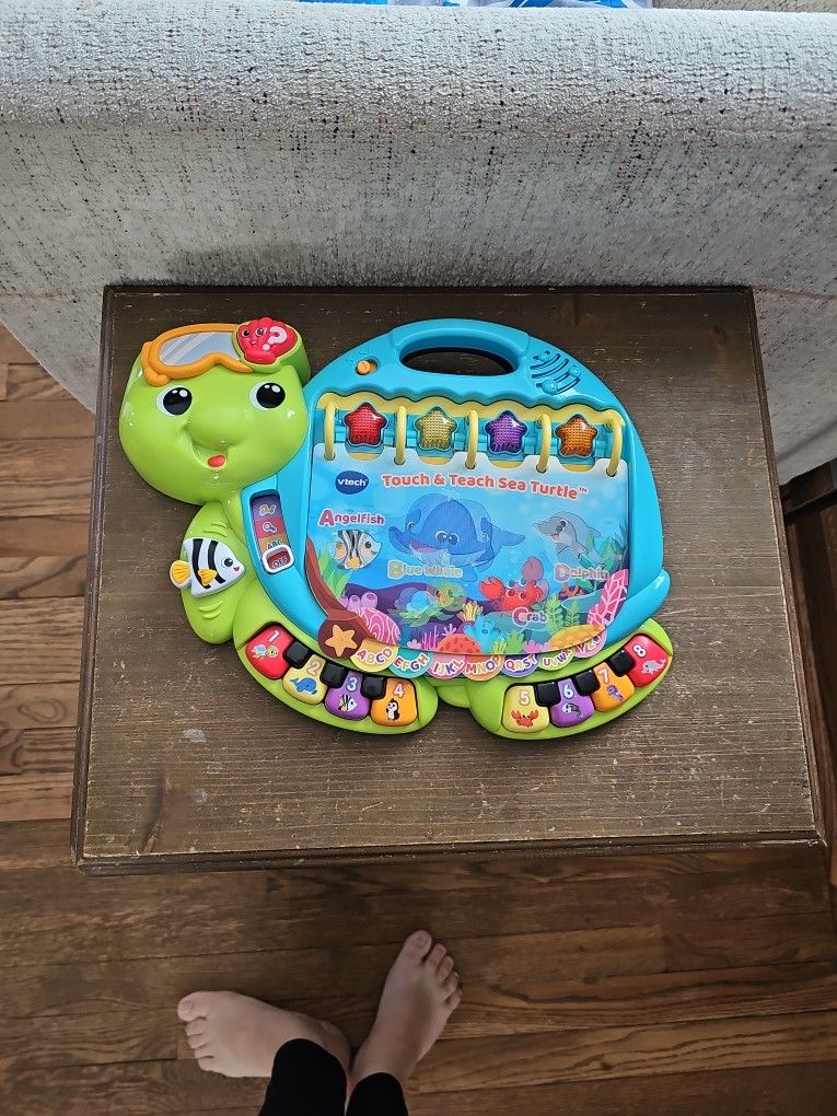 Touch and Teach Sea Turtle