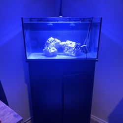 20 Gallon Innovative Marine 