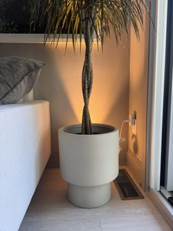 Mid Century West Elm Planter