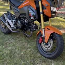 Honda Grom