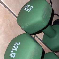 20lb Dumbbell Set 