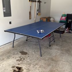 Ping Pong Table