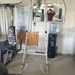 Golds Gym Power Tower