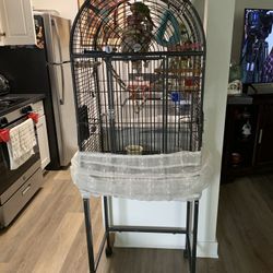 Bird cage With Toys