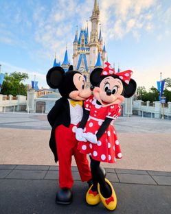 Disneyland or Disney California