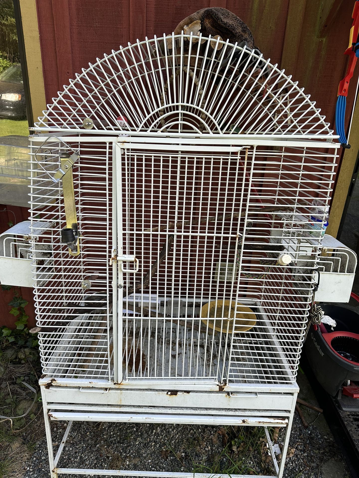 Bird Cage Free