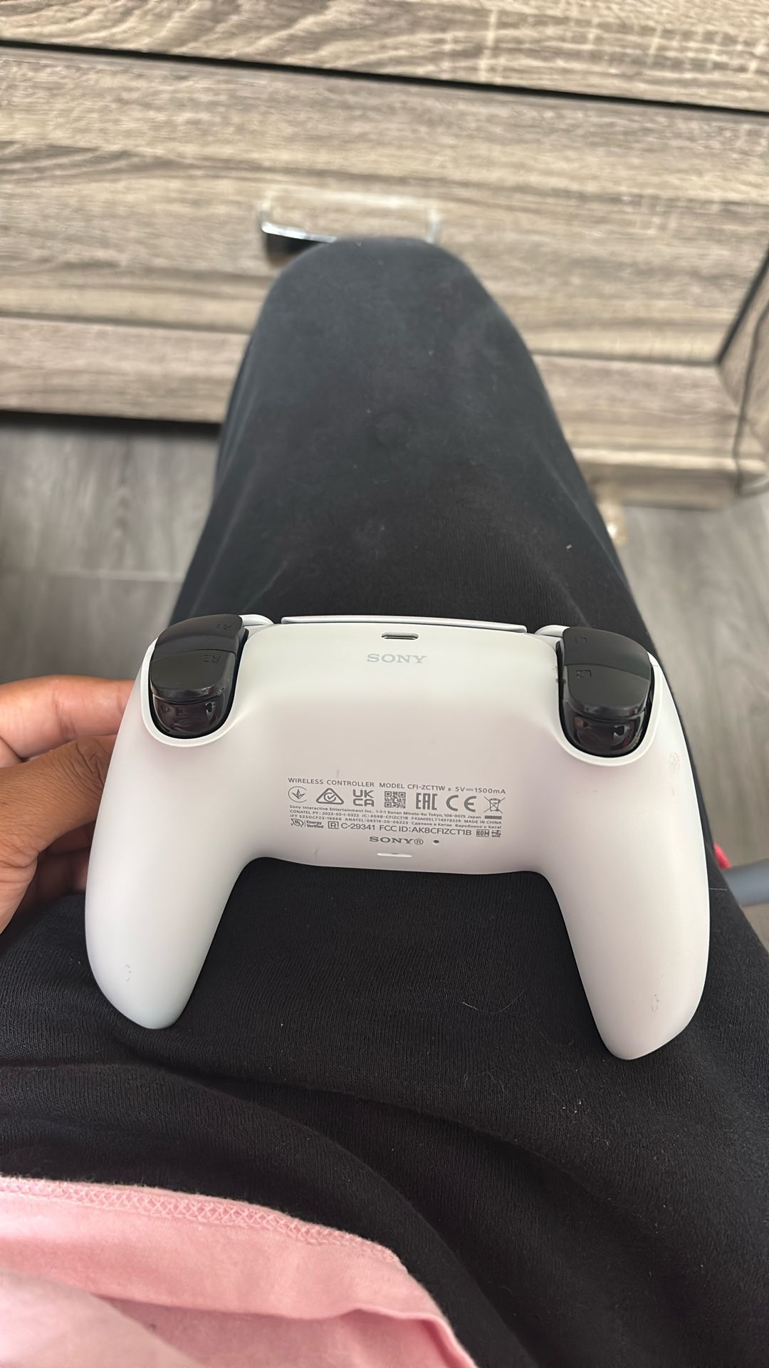 PS5 Controller