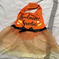  Halloween Dog Costumes 