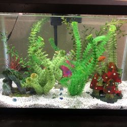 Fish Tank - 3 Fish - Extras